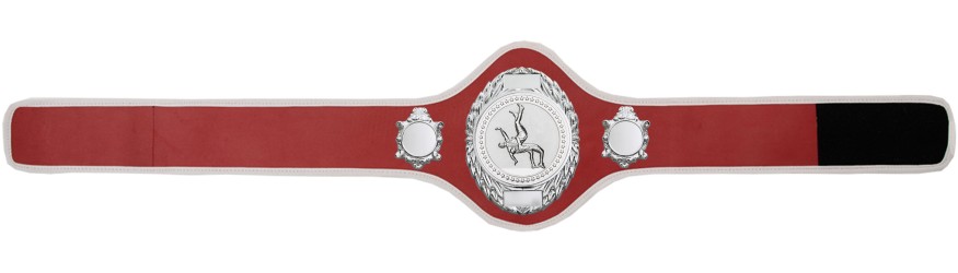 WRESTLING BELT-PRO286/S/WRESTS-10+ COLOURS